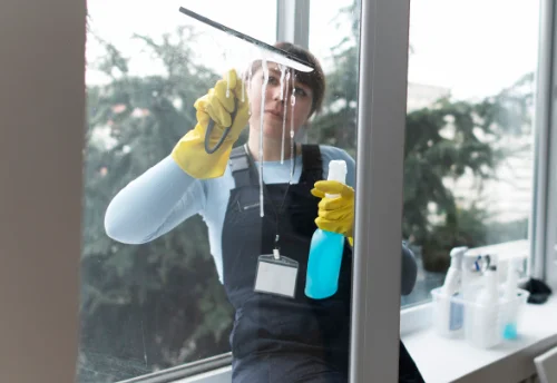 Nettoyage de vitres intérieures et extérieures à Turquant